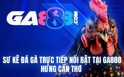 Sư Kê Đá Gà Trực Tiếp Nổi Bật Tại GA888 – Hưng Cần Thơ