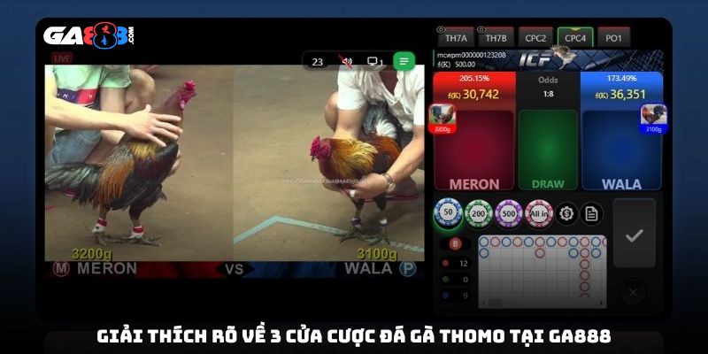  Giải thích rõ về 3 cửa cược đá gà Thomo tại GA888