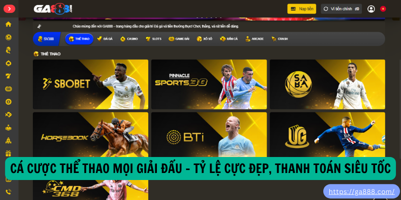 Đá Gà – Trải Nghiệm Đỉnh Cao Tại Trường Gà Thomo Cùng GA888