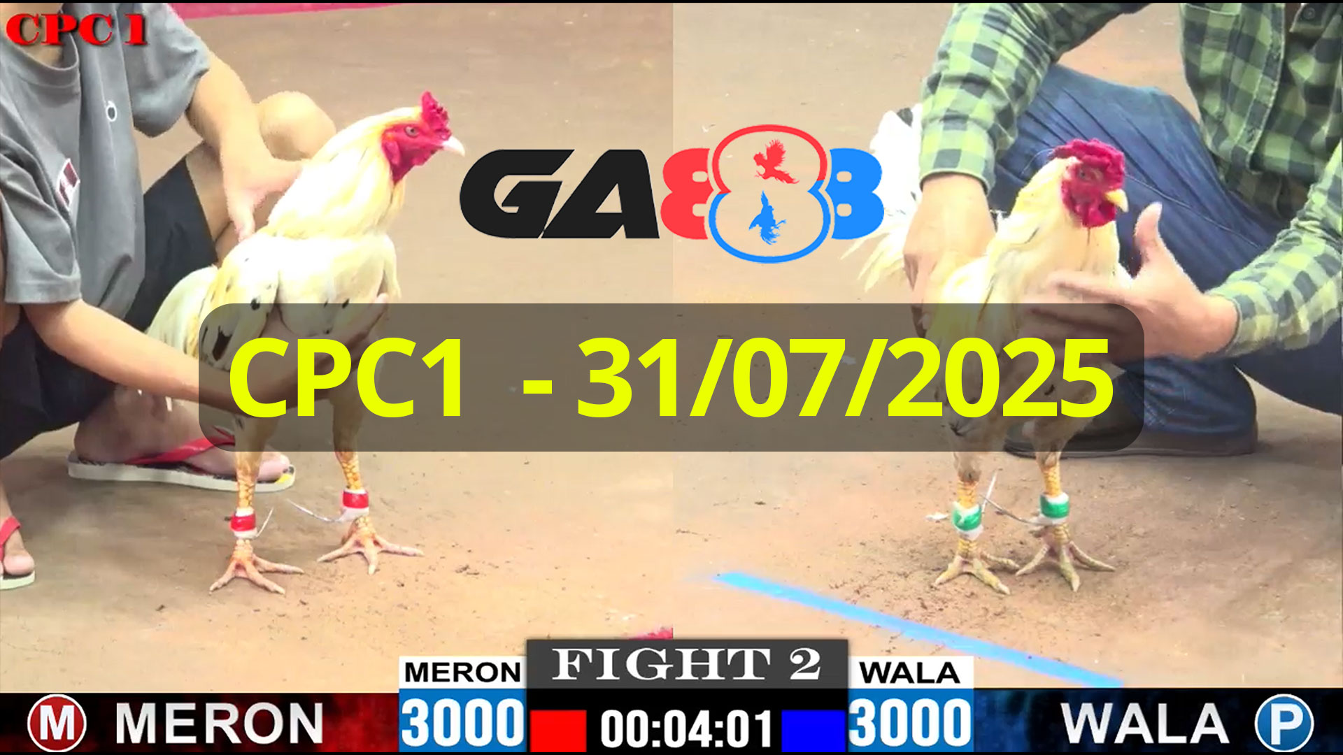 GA888 - Trực tiếp đá gà C1 ngày 31/07/2025
