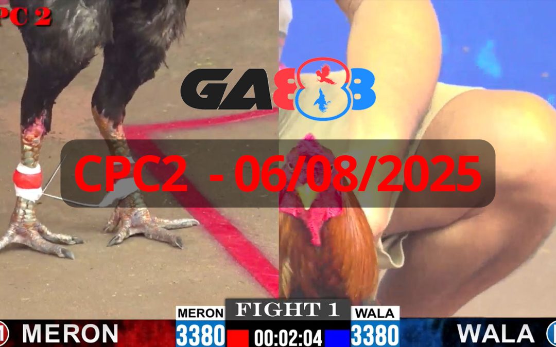 GA888 – Trực tiếp đá gà C2 ngày 06/08/2025