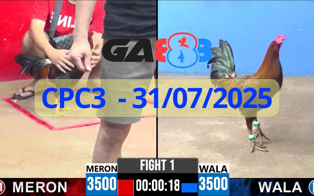GA888 – Trực tiếp đá gà C3 ngày 31/07/2025