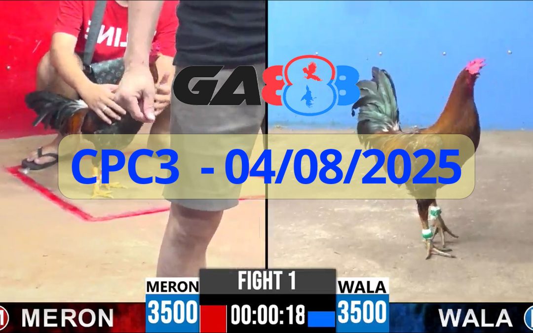 GA888 – Trực tiếp đá gà C3 ngày 04/08/2025