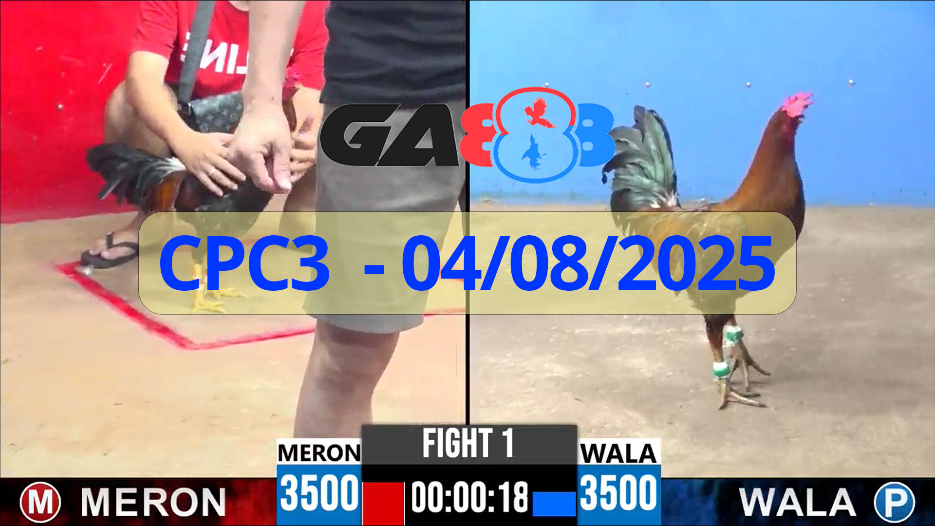 GA888 - Trực tiếp đá gà C3 ngày 04/08/2025